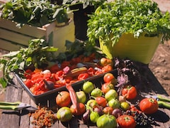 Une table pleine de légumes d'origine africaine.
