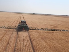 Pulvérisation d'herbicide sur un champs de blé dans les Prairies.