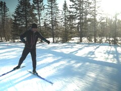 Un fondeur skie en pas de patins dans la forêt. 