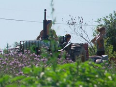 Des travailleurs dans un champs avec un tracteur.