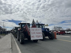 Une rangée de tracteurs dont le premier porte une affiche où est écrit "On veut juste nourrir pas mourir"