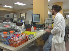 Un technicien en laboratoire regarde un écran d'ordinateur.