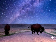 Plus qu'une image : Matt Jacques