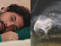 L'ours et Félix-Antoine Tremblay sont tous les deux couchés, la tête déposée sur le sol. 