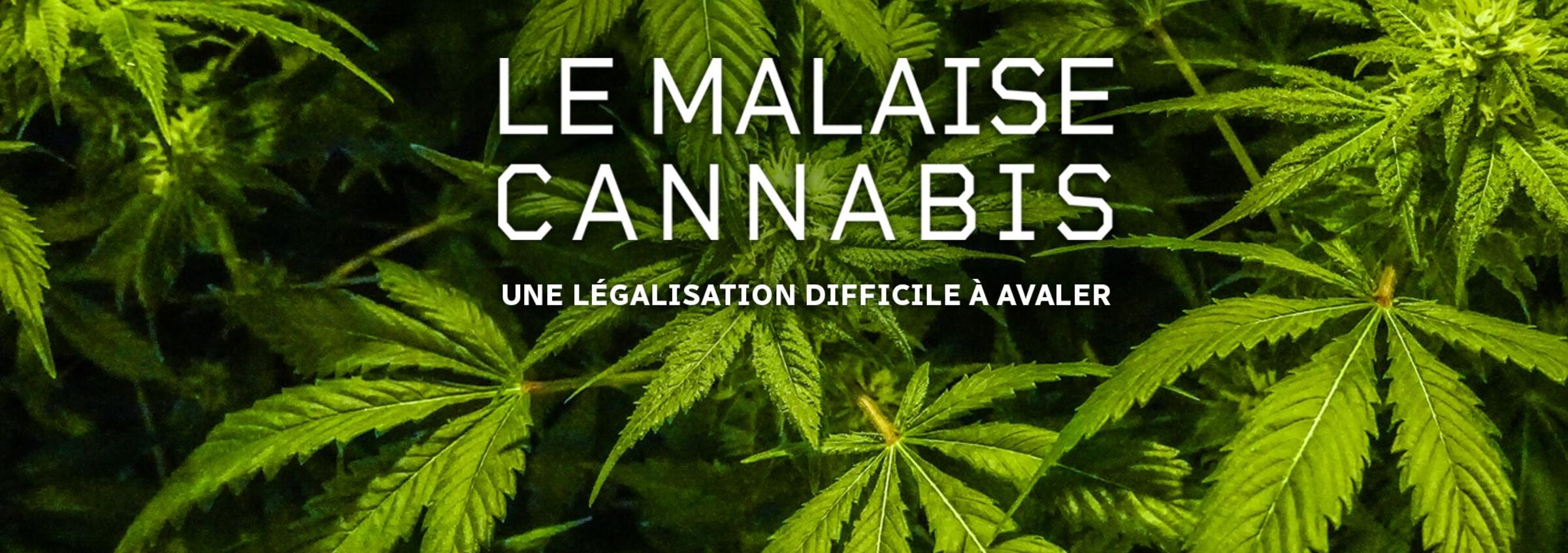 Le malaise cannabis