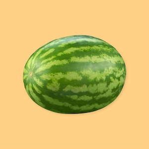 Un melon d'eau entier.