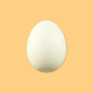Un œuf sur un fond jaune. 