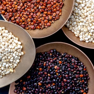 Différentes sortes de quinoa dans des bols.