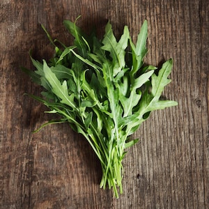 Roquette - Ingrédients - Mordu
