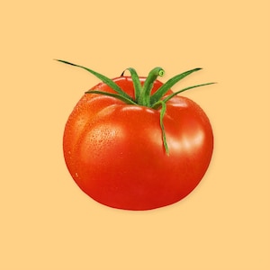 Une tomate sur un fond jaune.