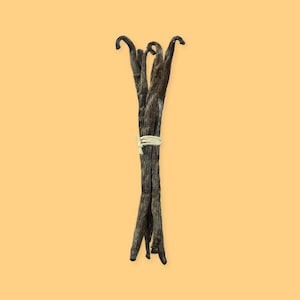 Des gousses de vanille attachées ensemble avec de la corde, sur un fond jaune.