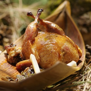 Une caille rôtie présentée dans un plat allongé aspect bois et accompagnée de coeurs de quenouilles en julienne.