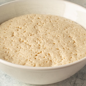 Un pâton de pâte fermentée dans un bol.