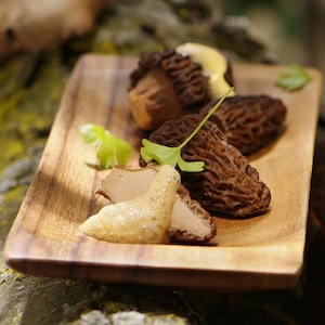 Des morilles, une mousse et du persil sur une assiette en bois.