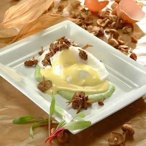 Une assiette avec deux œufs pochés et sauce hollandaise sur une purée d'orties.