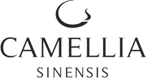  Camellia Sinensis.