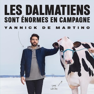 Yannick de Martino : les dalmatiens sont énormes en campagne