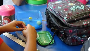 De plus en plus d'écoles ontariennes organisent des lunchs sans déchet.