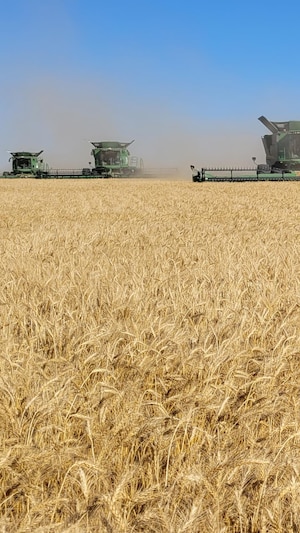 Des engins agricoles sur un champ.
