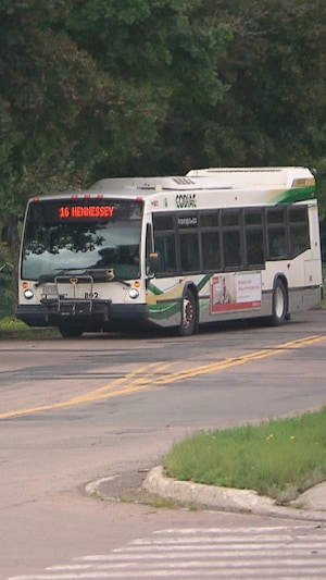 Des étudiants attendent l'autobus sur le campus universitaire de Moncton le 1er septembre 2023.