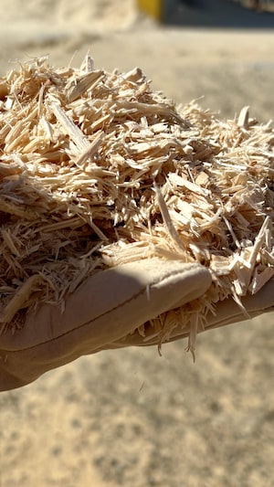 Un employé tient, dans ses mains, des résidus de bois.