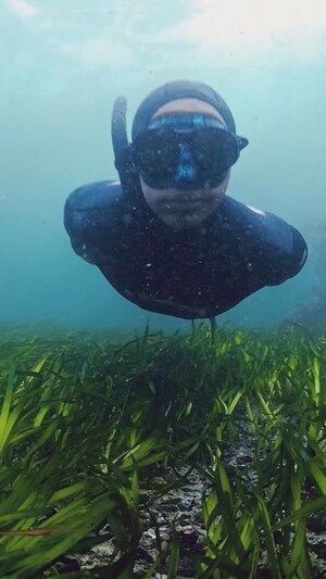 Une plongeuse inspecte des algues.