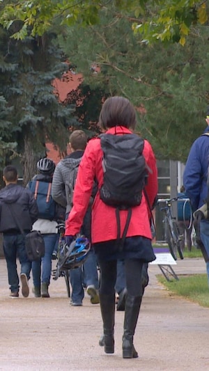 Étudiants de dos marchant sur un trottoir en ciment. Feuilles aux arbres. Archives.