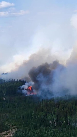 Un panache de fumée s'élève d'un gigantesque feu de forêt.