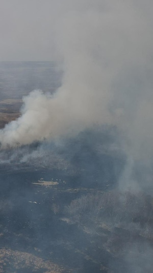 Un feu de forêt.
