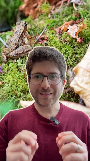 Montage photo avec le journaliste Renaud Manuguerra-Gagné et une grenouille dans la nature.