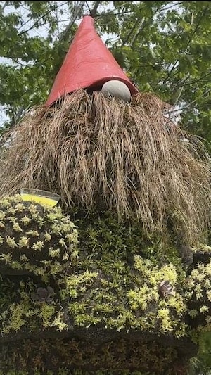 Une horticultrice met des plantes sur une sculpture. 