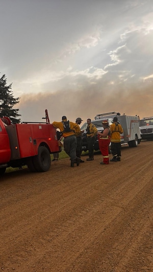 Des pompiers sont près de plusieurs camions face à une épaisse fumée grise qui s'échappe de la forêt.