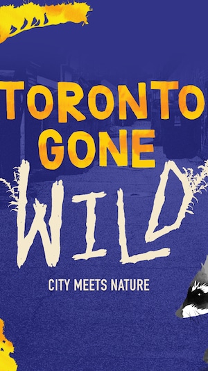 L'affiche de l'exposition « Toronto Gone Wild ».