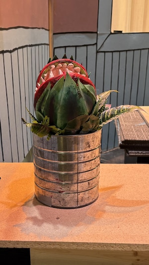 La plante au centre de la pièce.