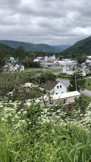 Le village, avec ses maisons et les monts Chic-Chocs en arrière-plan.