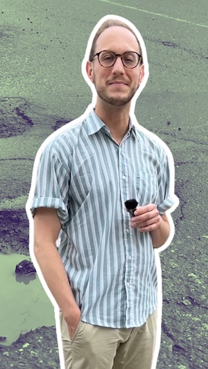 Montage d'un journaliste devant une photo de nid-de-poule.