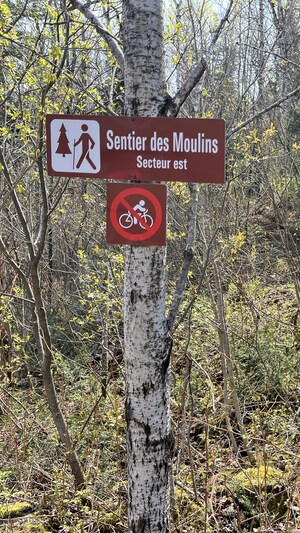 Une affiche du sentier en forêt.