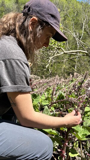 Une personne regarde de près une plante.