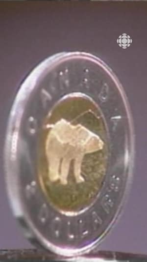 Pièce de monnaie de deux dollars bimétallique en nickel et cuivre, côté de l'ours polaire.