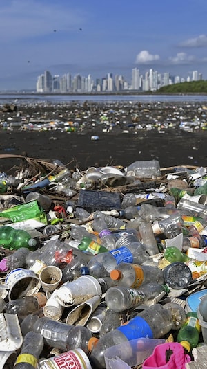 Des détritus de plastique sur une plage