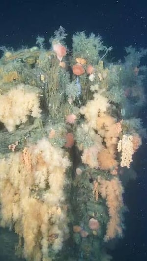 Des images sous-marines captées par un véhicule télécommandé à près de 400 mètres de profondeur dans la mer du Labrador révèlent l'épave du Quest. 