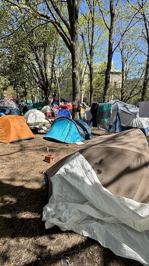 Plusieurs tentes sur le gazon, sur le campus d'une université.