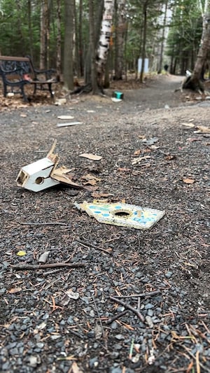 Ceux et celles qui fréquentent le parc Jane McCallum de Matane ont constaté qu’un ou des vandales y sont passés avant eux, laissant derrière les morceaux d’innombrables cabanes à oiseaux qui y étaient installées. C’est le cas de notre journaliste Pierre-Gabriel Turgeon, qui est allé à la rencontre d’une résidente attristée par ces méfaits.