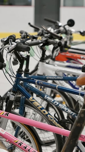 Des vélos les uns à côté des autres dans un bazar.                               