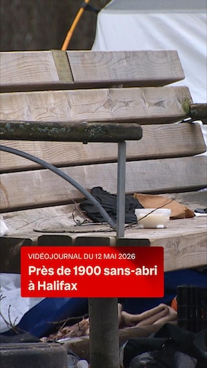 Un banc de parc.