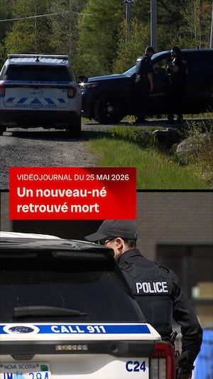 Des voitures de police près d'une région boisée.