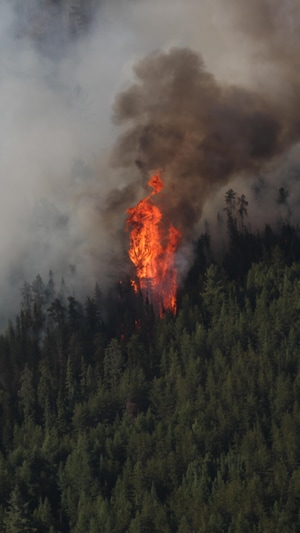 Un feu de forêt dans le nord de l'Ontario.