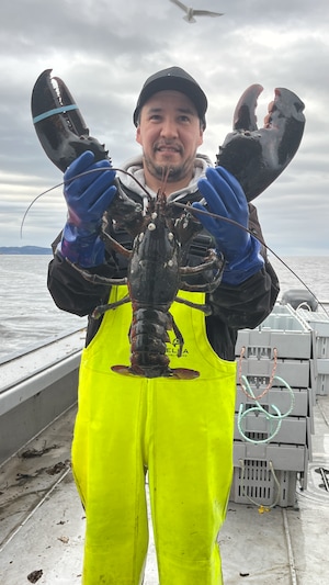 La pêche exploratoire au homard bat son plein au Québec et sur la Côte-Nord, où elle ouvre des opportunités à une industrie en difficulté.
