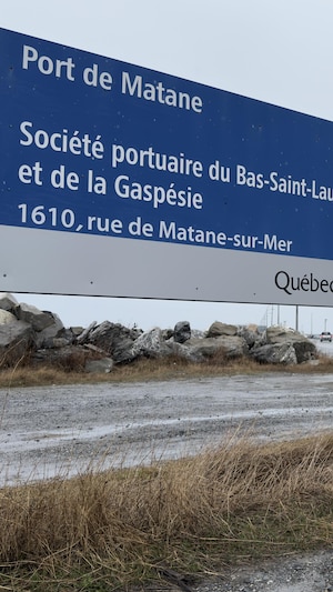 Une pancarte annonce le site de port de Matane comme étant une propriété du gouvernement du Québec