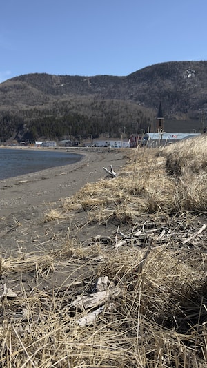 Une plage.